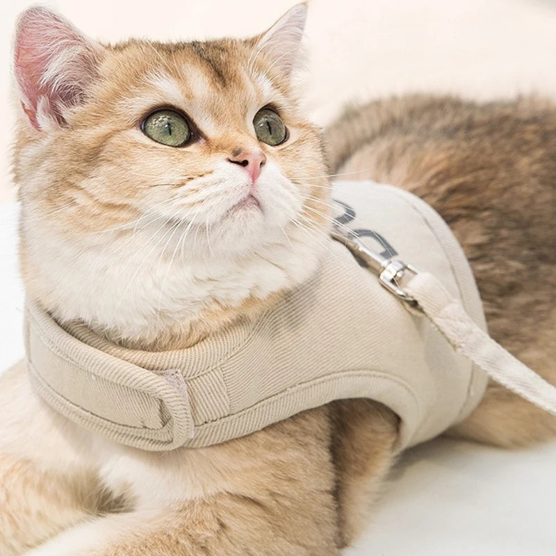 Duri Cat Harness