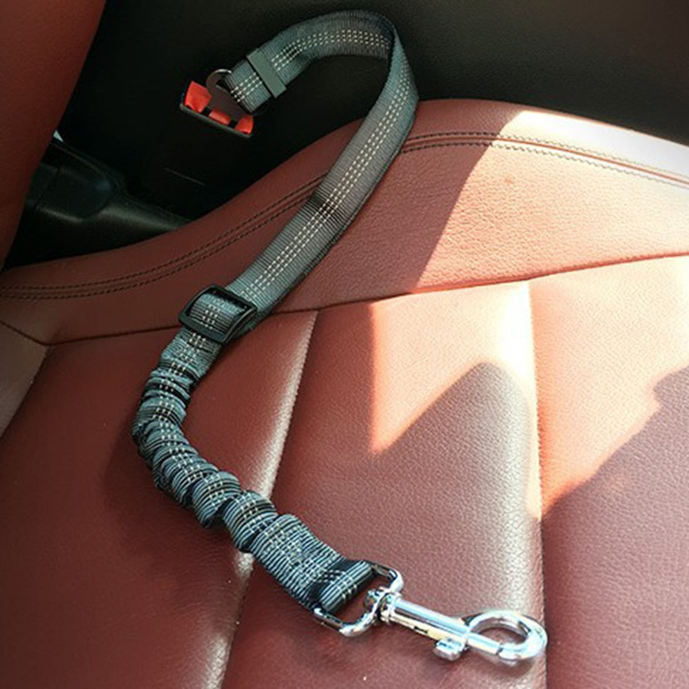 Elastic Safety Belt for Pets