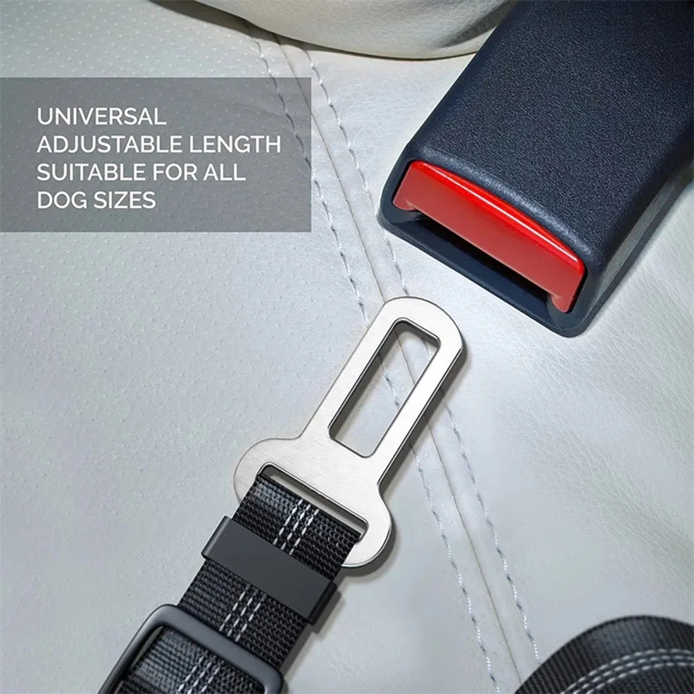 Elastic Safety Belt for Pets