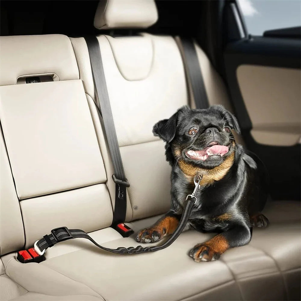 Elastic Safety Belt for Pets