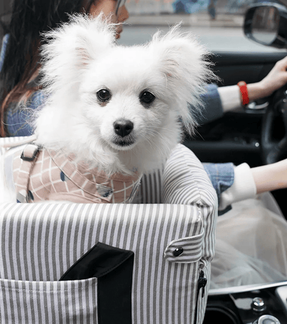 CarCrate™ Pet Booster Seat